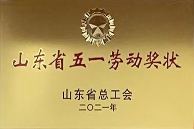 ɽ��ʡ��һ�Ͷ���״