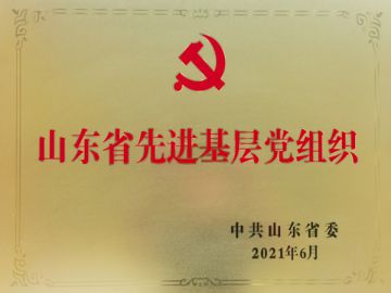 ɽ��ʡ�Ƚ��²㵳��֯